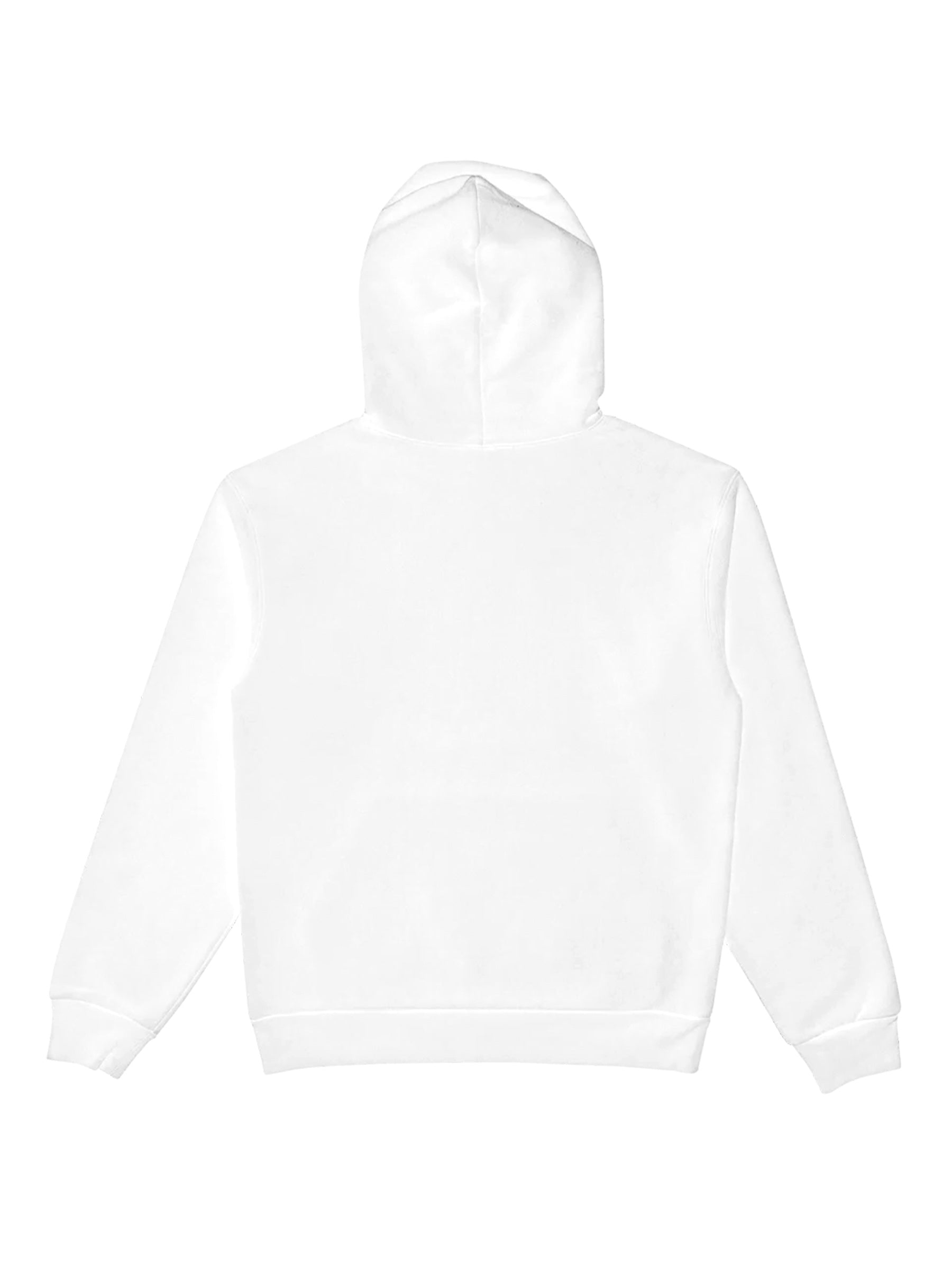 LICENSE PLATE HOODIE