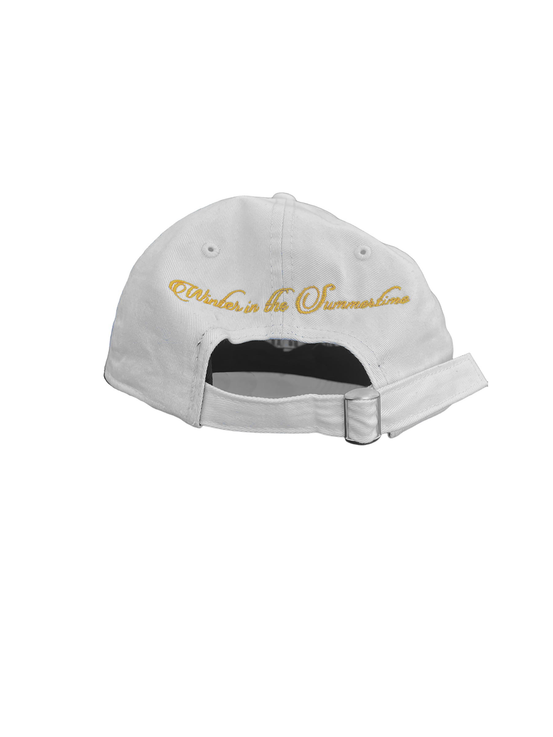 LICENSE PLATE CAP